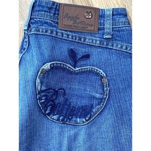 Apple Bottom Bootcut Flare Low Rise Jeans Size 9/10 Blue Denim Y2K Embroidered